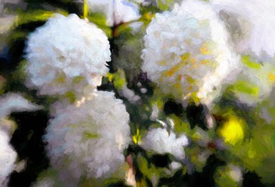 Big Blowsy Blooms by Helen White